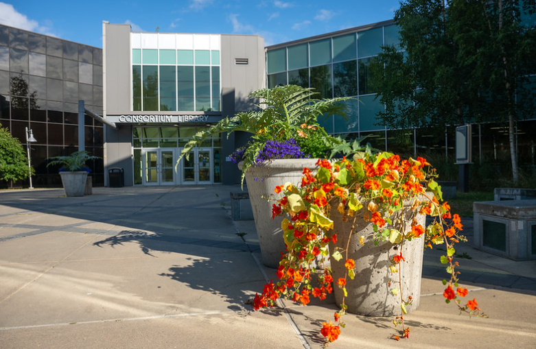 flowers by library