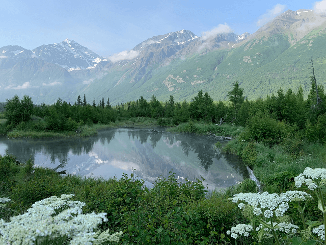 A lake and meadow in front of mountains
