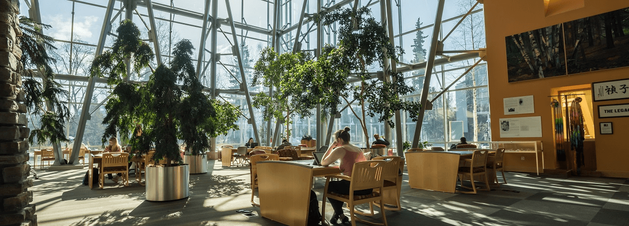Students studying in a sunlit lounge by large windows.