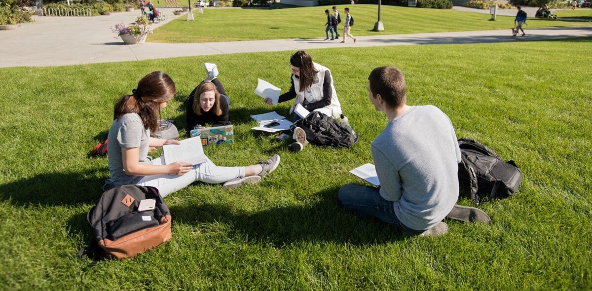 Students study in the quad on a sunny day