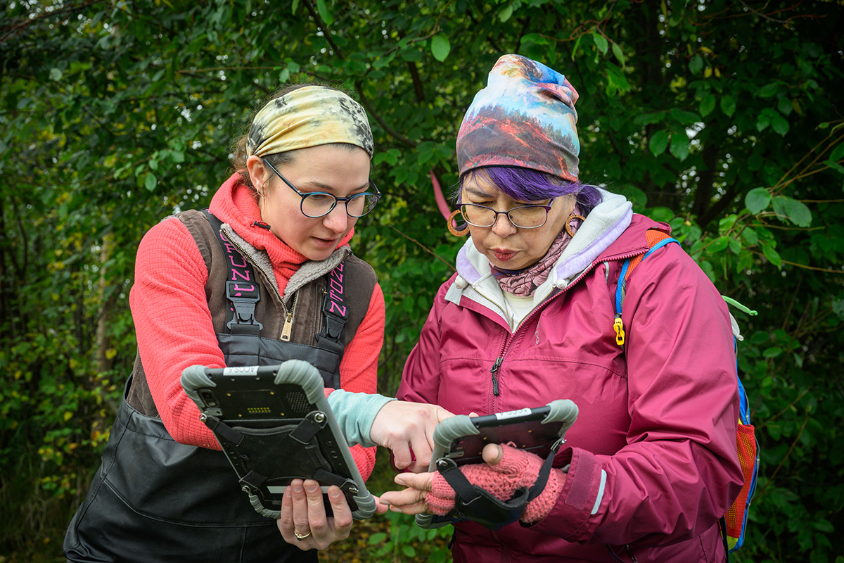 Alaska Center for Conservation Science (ACCS) grad student Emma Lipscomb helps fellow student Lara Lake use GIS mapping software during fieldwork at Connor's Bog Dog Park to map the spread of invasive European Bird Cherry.