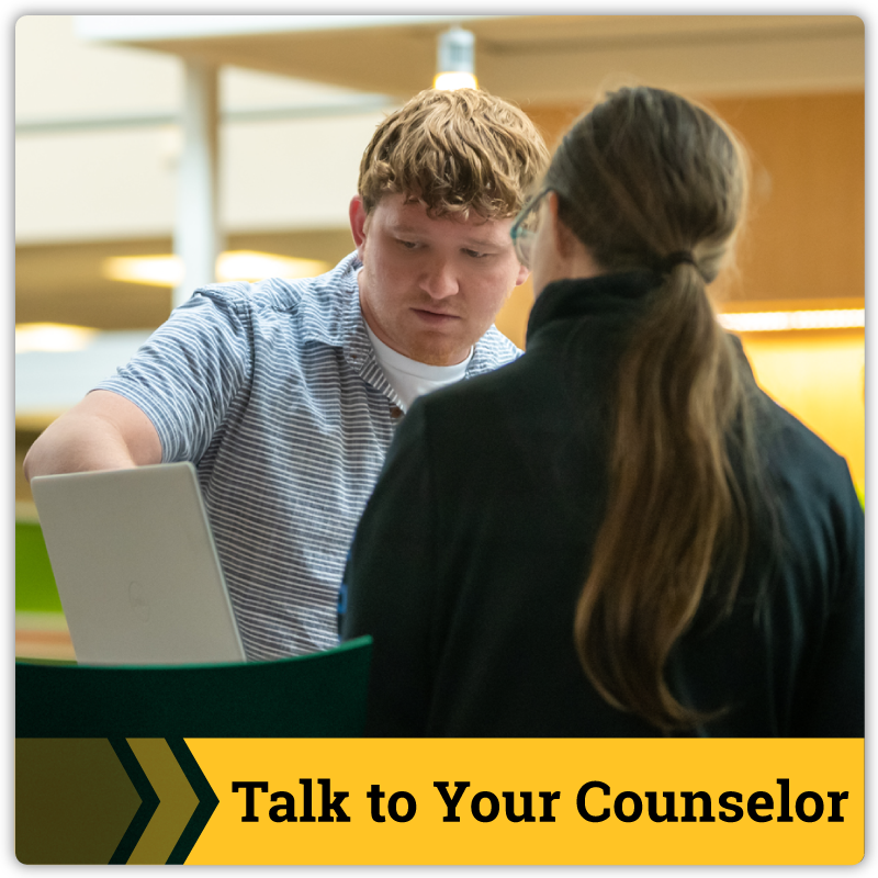 Talk to your counselor