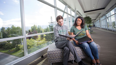 Students studying in front of a window.