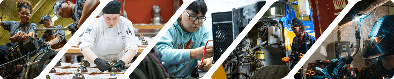 Collage of automotive, diesel, culinary, Computer & Networking and Welding students.