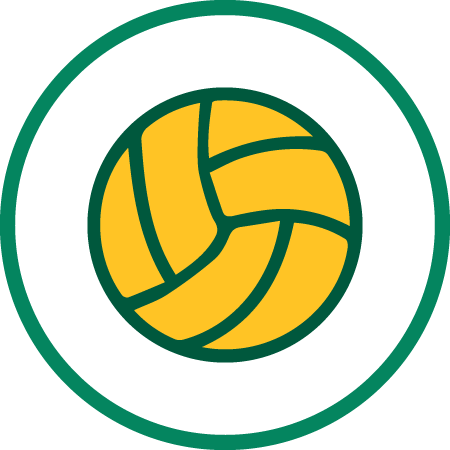 Icon of green and gold volleyball