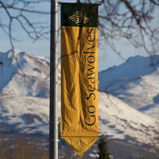 Go Seawolves banner hangs from light pole with snowy mountains in the background