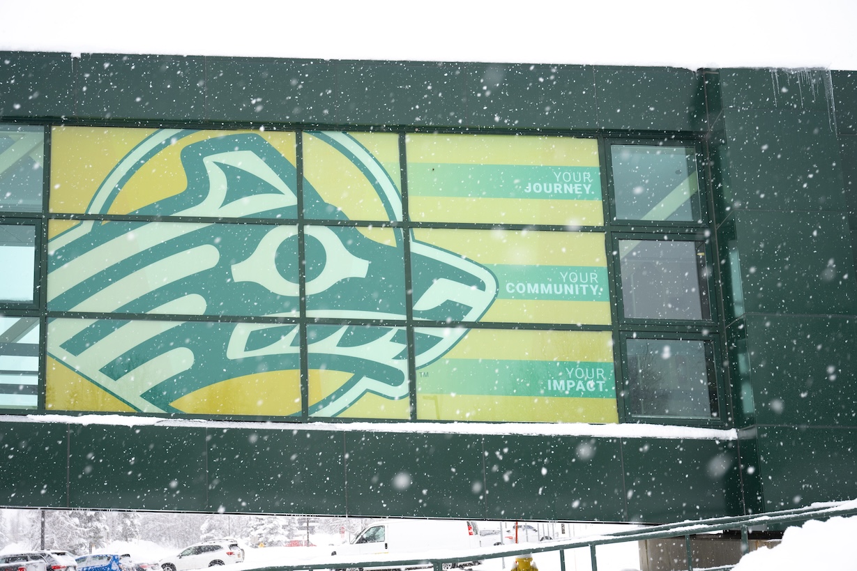 A photo of the UAA spine on campus. The spine has an adhesive graphic of the Seawolf mascot. The color scheme is green, gold and yellow. The phrasing on the graphic reads "Your journey. Your community. Your impact."