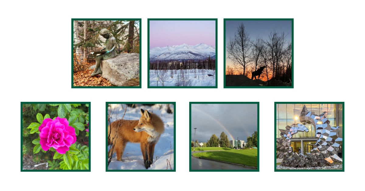 There are 7 photos that were included in the photography contest; Photo 1 a bronze statue of a girl reading a book, Photo 2 a scenic view of white mountains with a pink sky, Photo 3 a silhouette of a moose eating a twig off a tree and the sky is blue, white and orange, Photo 4 a pink Alaskan flower with green leaves surrounding it, Photo 5 a very clear photo of a fox standing in the snow, Photo 6 a double rainbow on campus with green grass, trees and a building, Photo 7 a large shiny metal geometric statue on campus with glass windows behind it in the background