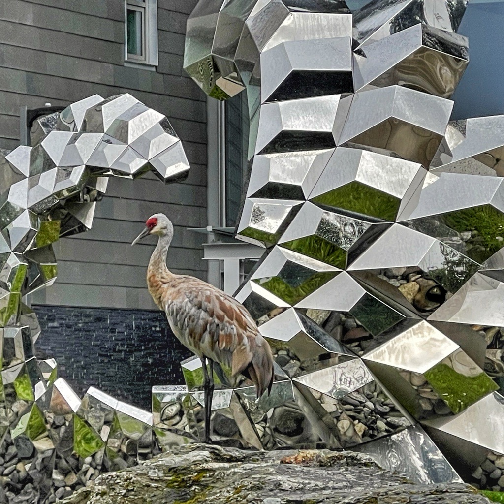 A photo of a sandhill crane standing against a silver monument on UAA campus.