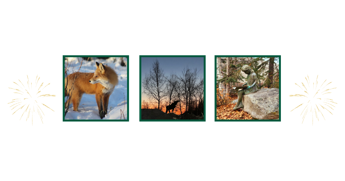 There are 3 images; one of a fox in snow, one of a moose in snow eating a branch, and one of a bronze statue that looks like a girl reading a book on a rock. 