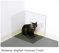 University of Alaska Anchorage professor Mariano Gonzalez