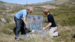 Sean Cahoon, UAA graduate student and ENRI researcher