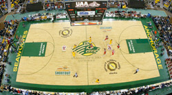 Photo of the 2010 Shootout court at Sullivan Arena