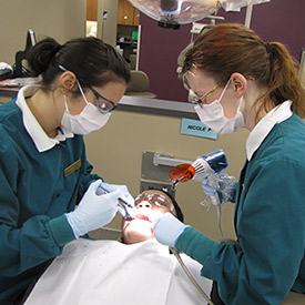 UAA free dental day a success