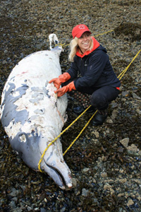 KBC marine biology student assists with whale necropsy