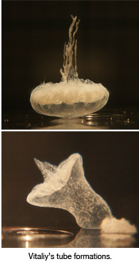 Vitaliy and his tube formations