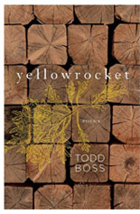 Yellow Rocket Yellow Rocket