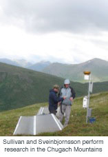 UAA researchers awarded $700K from NSF to study white spruce at the arctic treeline