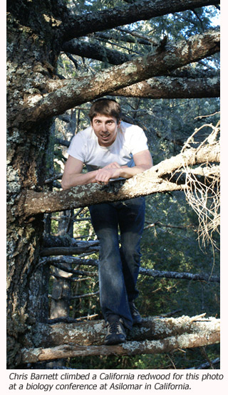 Chris Barnett climbs a tree for a fun picture at a conference in California.