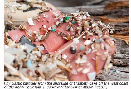 Small plastic particles from the shore of Elizabeth Lake.