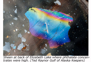 Rainbow sheen at rear of Elizabeth Lake, where phthalate levels were highest.