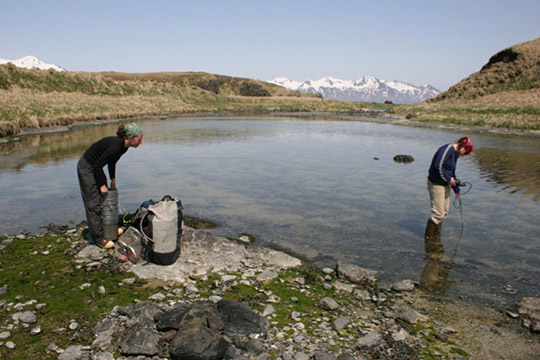 Leah at another Aleutian field site on Attu Island