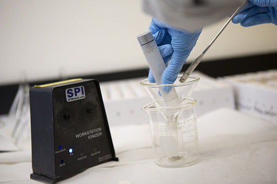 Ground up threespine stickleback headed to the tinning room