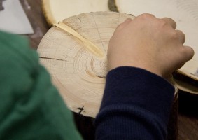 Students learned how to determine the age of a cabin from the rings of a tree.