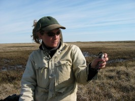 Audrey Taylor Audrey Taylor