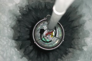 Inside an IceCube string. Photo courtesy IceCube/NSF.