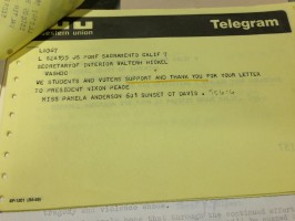 Thank you telegram