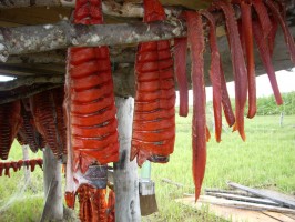 Salmon strips dry on a rack in Nunapitchuk, one of the communities UAA scientists visited in their study of subsistence and sharing.