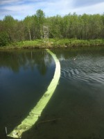 Counting fish, and singing opera, along a tributary of the Unalakleet River.