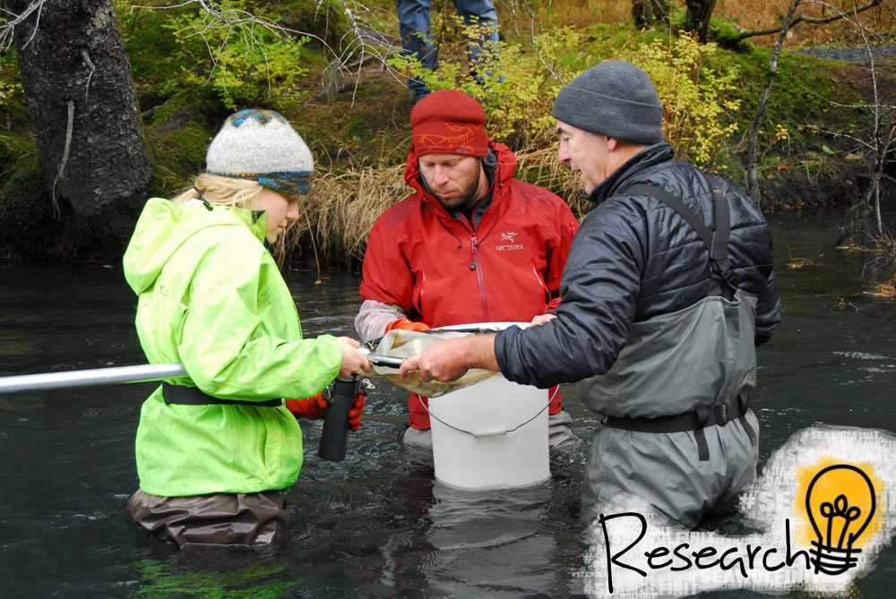 20141112-researchers-in-a-creek