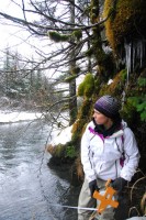 UAA undergraduate Krista Bergthold on Williwaw Creek in Portage Valley, part of a stream ecology class at UAA that puts students and biologists in the field together for hands-on science investigations. (Photo by Douglas Causey/UAA)