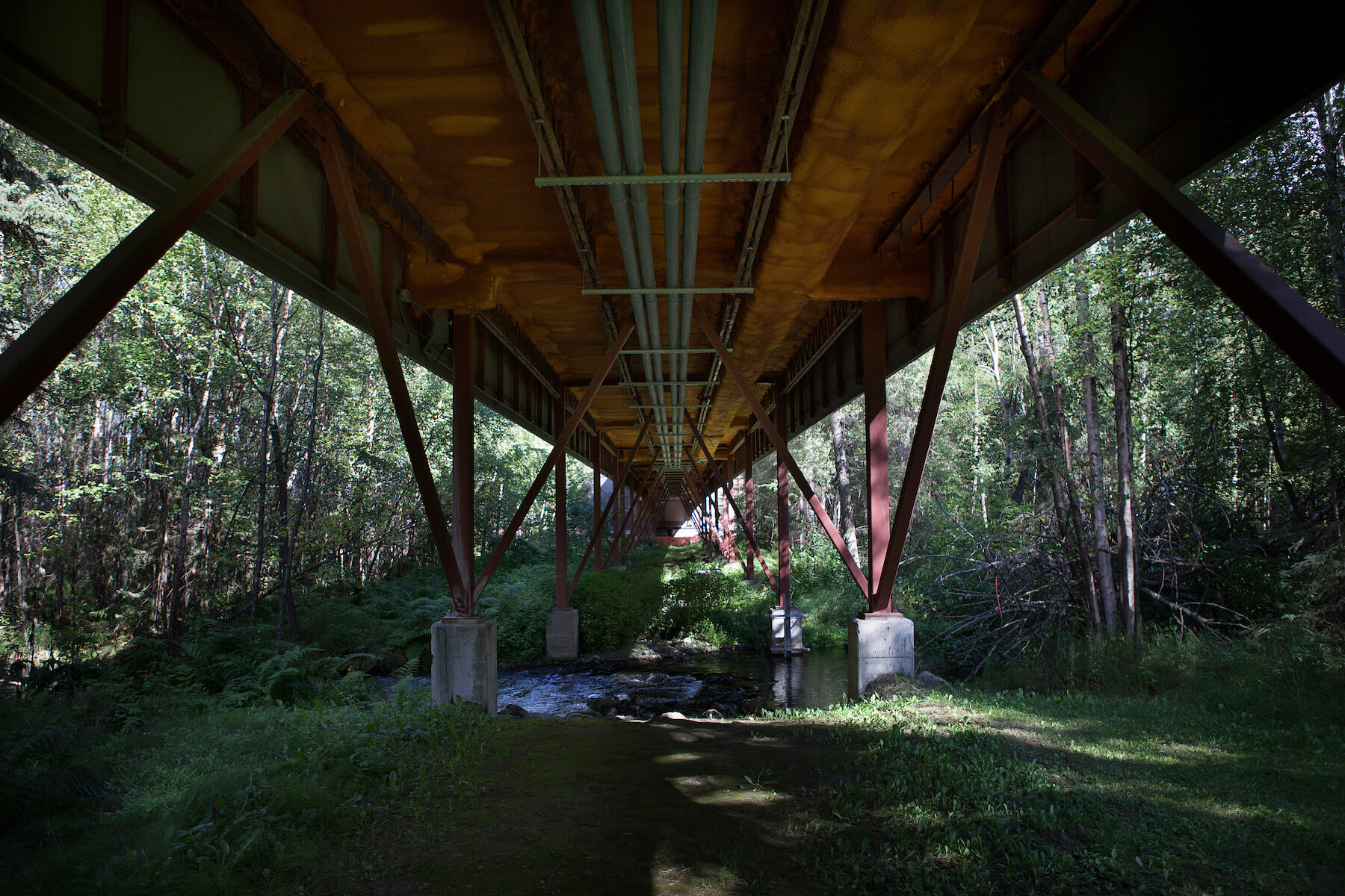 The view from beneath the Spine overlooking Chester Creek.