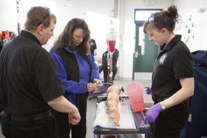 Professor Kathy Roberts, center, shows Chris Wilkins, left, and Jackie Henry how to start an IV line during a paramedic course at Mat-Su College. (Photo by Philip Hall/UAA)