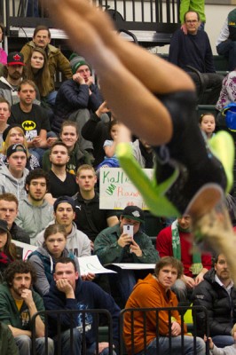 Gymnastics meet and fans