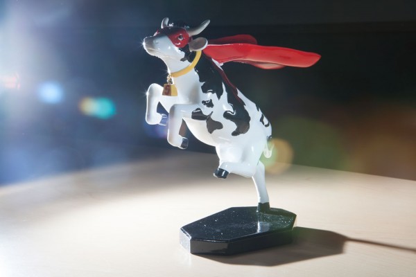 The Super Cow award , the Oscar of academia, honored tboth he CCEL team and the Registrar's team for doing excellent work at UAA. (Photo by Phil Hall/ UAA)