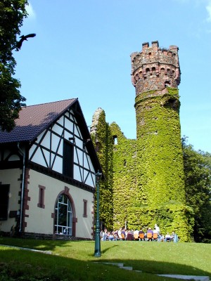 Students at Germany's EBS Universität study in the sun next to an ivy-lined castle. Thanks to a new exchange program, UAA's aviation students can study here as well (Photo courtesy of EBS).