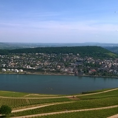 A view over the vineyards of the mighty Rhine River, taken in Rüdesheim, just upriver from Oestrich-Winkel (Photo courtesy of Brian Peterson).