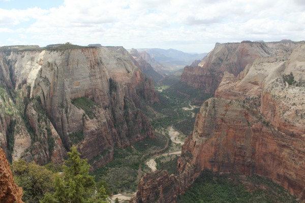 The view from Observation peak in Utah's Zion National Park (Photo courtesy of Anna Stanczyk).