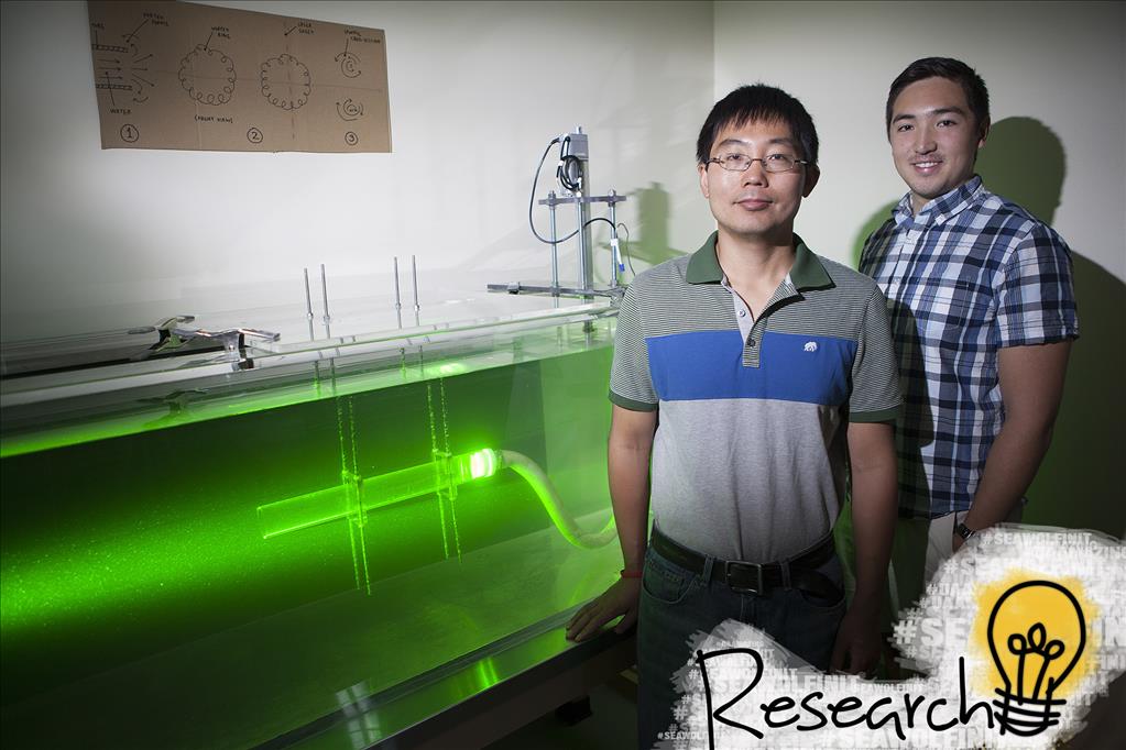 Vortex Rings Research