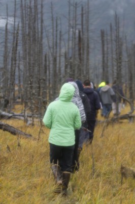 Students follow the leader into the swampy saturated ghost forest near Girdwood (Photo by Philip Hall / University of Alaska Anchorage).
