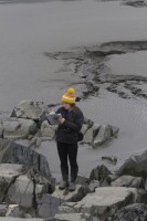 Geology major Chloe Ivanoff records notes on the glacial advance at Bird Point (Photo by Philip Hall / University of Alaska Anchorage).