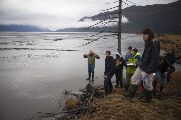Students perch on the ledge at the ghost forest, overlooking the 1,000 feet of mud that fill Turnagain Arm (Photo by Philip Hall / University of Alaska Anchorage).