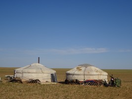 When families relocate from the country to the city, they bring their gers with them (Photo by J. Besl).