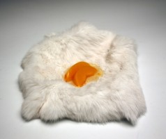 "Untitled" by Stephanie Dishno.