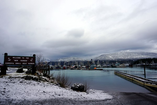 The view of Cordova's harbor (Photo by Valerie Svancara).