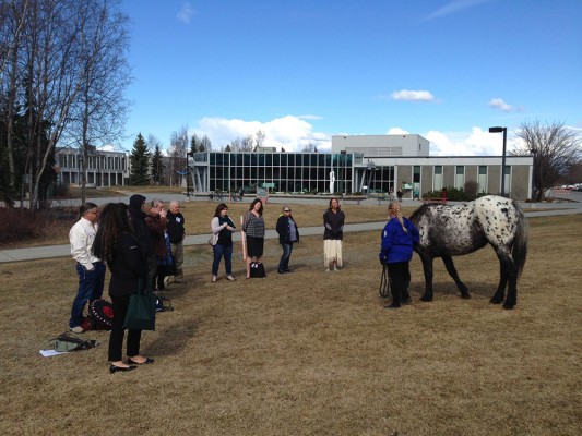 Horse Medicine class